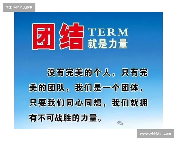 团队团结与韧性构建的核心要素与成功路径探讨